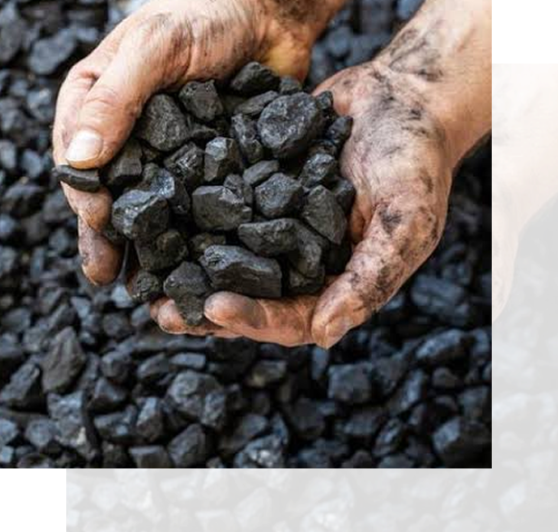 Premium Coal Quality