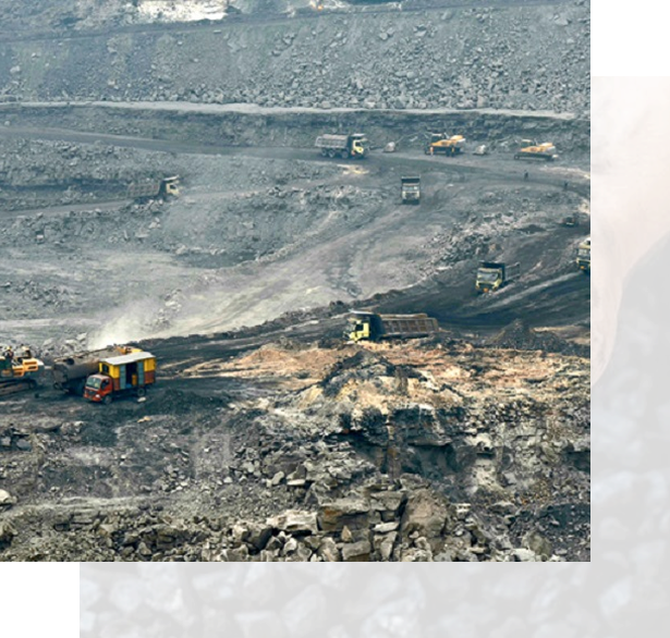 Premium Coal Quality