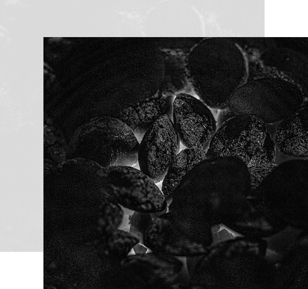 Premium Coal Quality