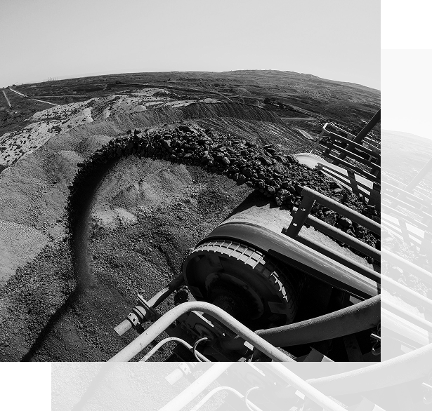 Premium Coal Quality