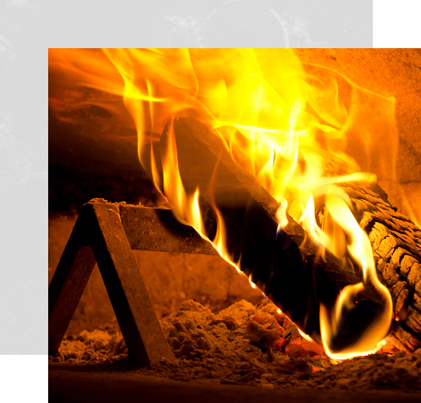 Premium Coal Quality