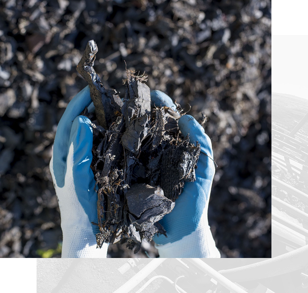 Premium Coal Quality