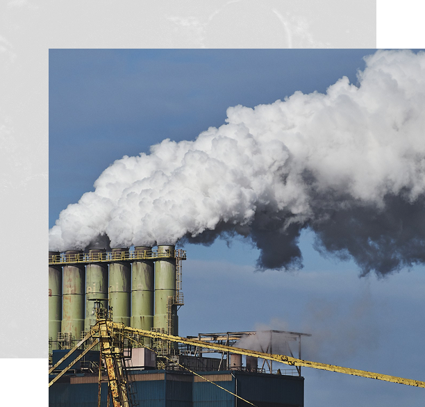 Premium Coal Quality