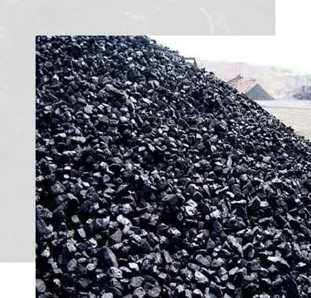 Premium Coal Quality