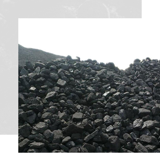 Premium Coal Quality