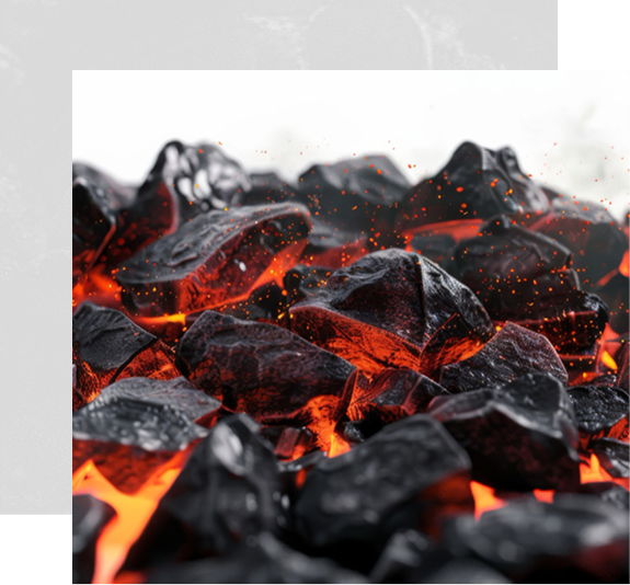 Premium Coal Quality