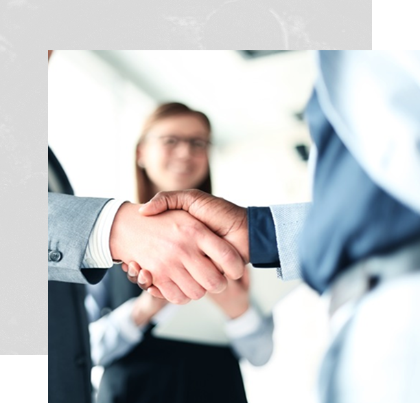 Premium Coal Quality